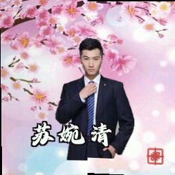 苏婉清